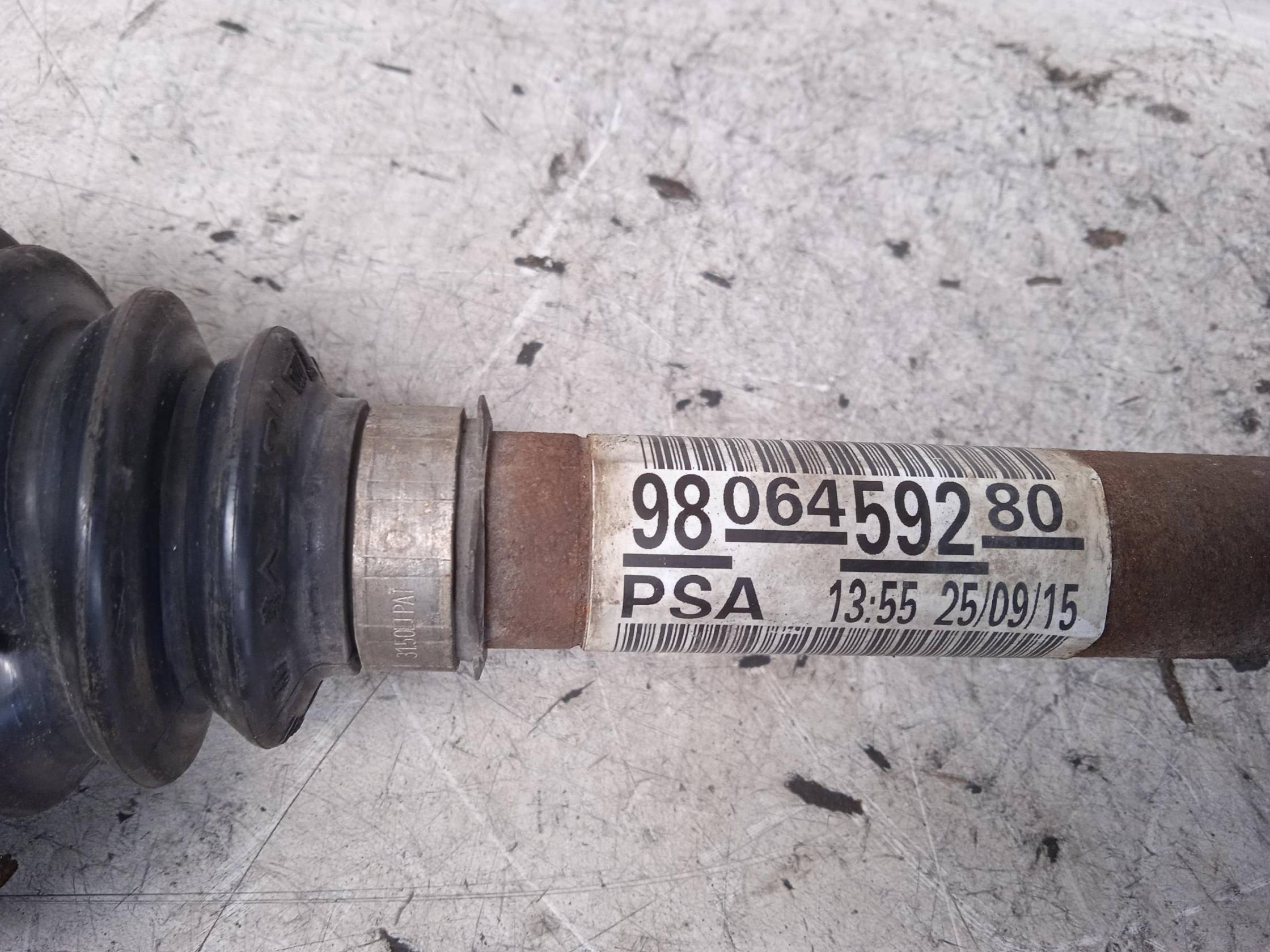 Semialbero ant. compl. dx.